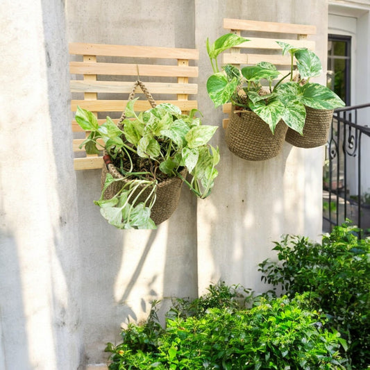 Jute Hanging Wall Storage Baskets - Shiroli - Image 11