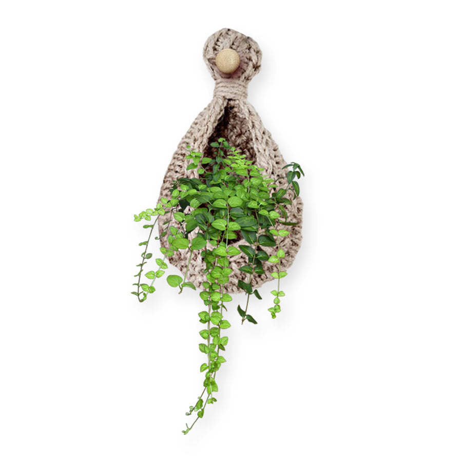 te Hanging Wall Basket or Planter 5 -  Set Of 2 -Shiroli