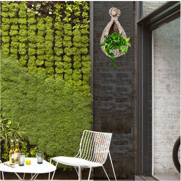 te Hanging Wall Basket or Planter 2 - Shiroli